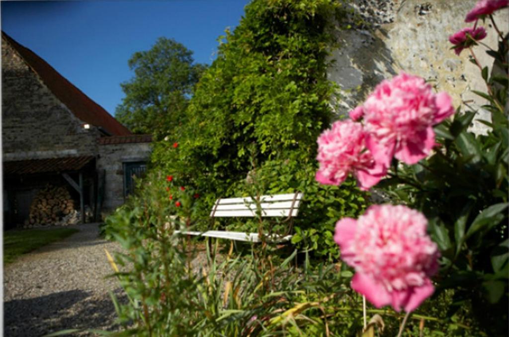 Chateau De Cocove Otel Recques-sur-Hem Dış mekan fotoğraf